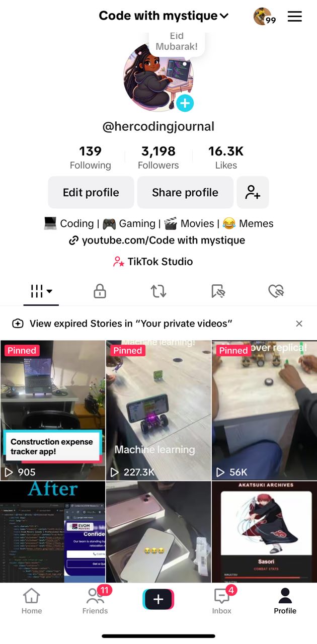 TikTok preview